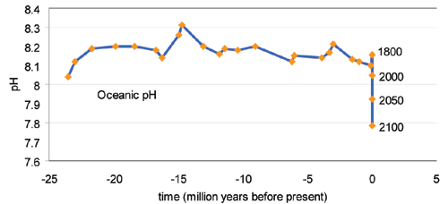 pH Over Time